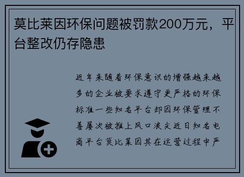 莫比莱因环保问题被罚款200万元，平台整改仍存隐患